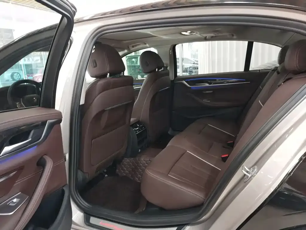 BMW 5 Series 2021 из CN, фото 6
