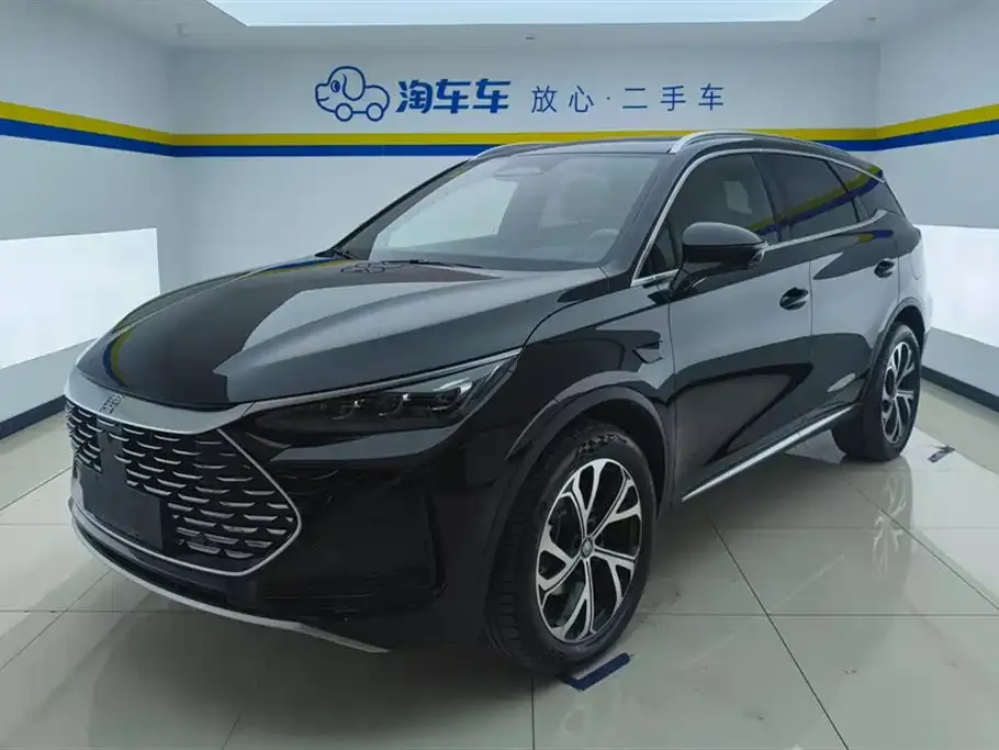 BYD Tang New Energy — фото 1