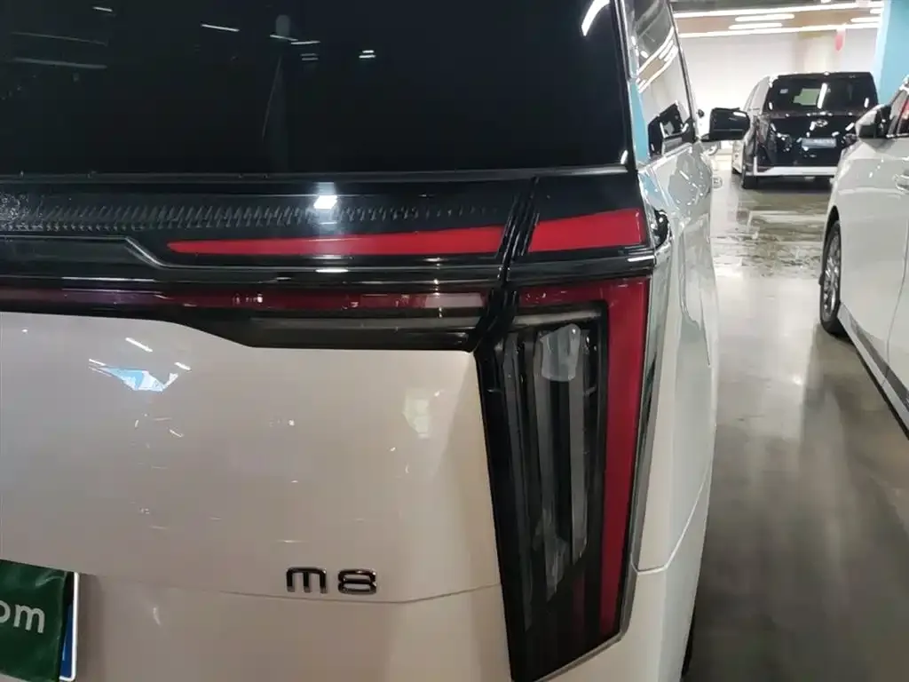 GAC Motor Trumpchi M8 2023 из CN, фото 5