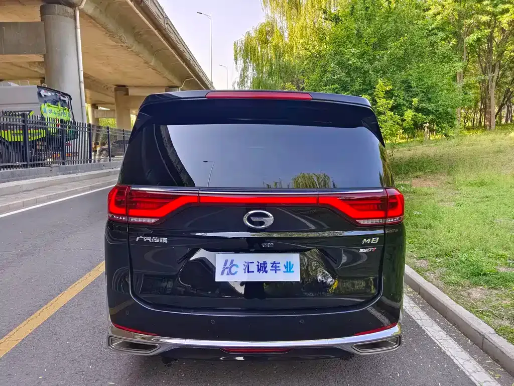 GAC Motor Trumpchi M8 2022 из CN, фото 6