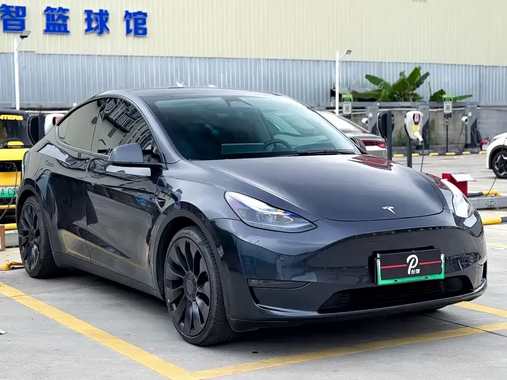 Tesla Model Y — фото 10