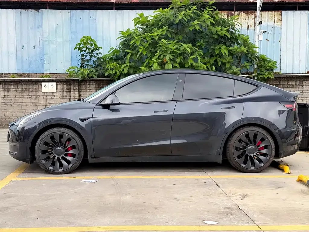 Tesla Model Y — фото 5
