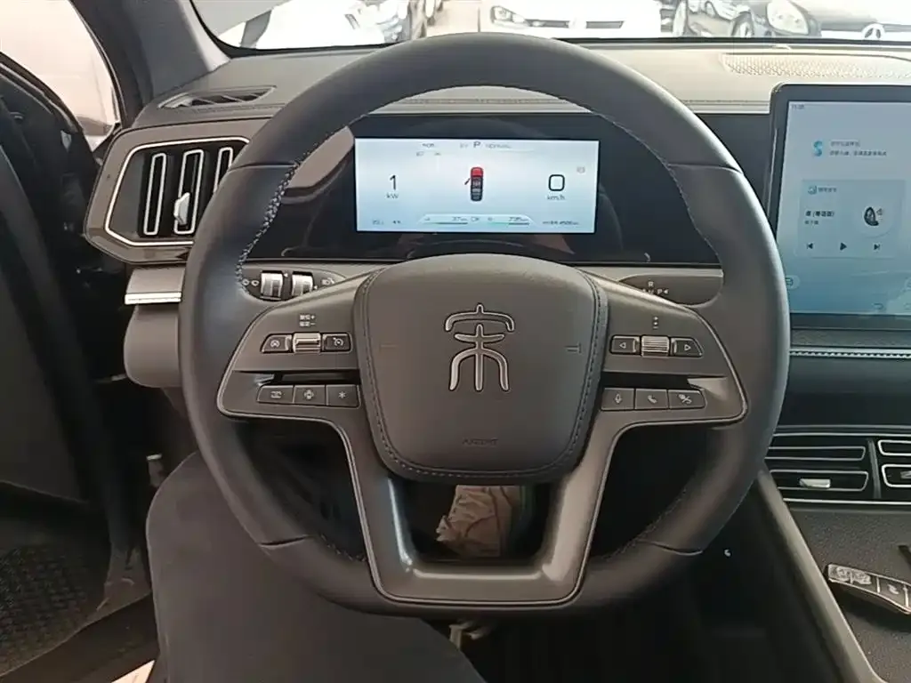 BYD Pro New Energy — фото 10