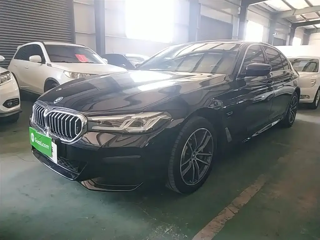 BMW 5 Series New Energy 2022 из CN, фото 6