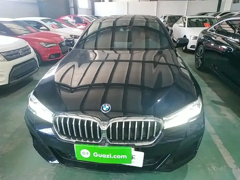 BMW 5 Series New Energy 2022 из CN, фото 7