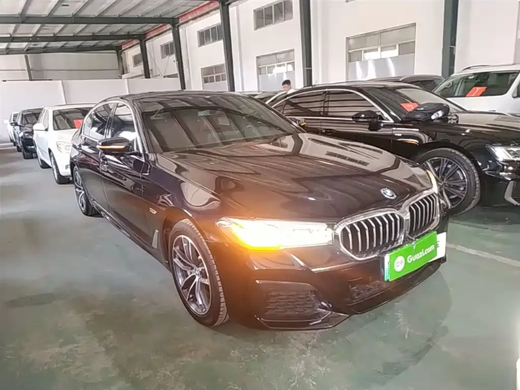BMW 5 Series New Energy 2022 из CN, фото 4