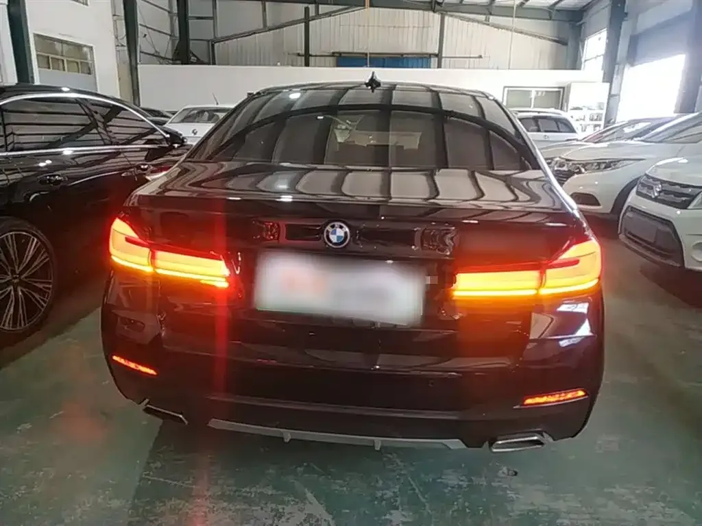 BMW 5 Series New Energy 2022 из CN, фото 9