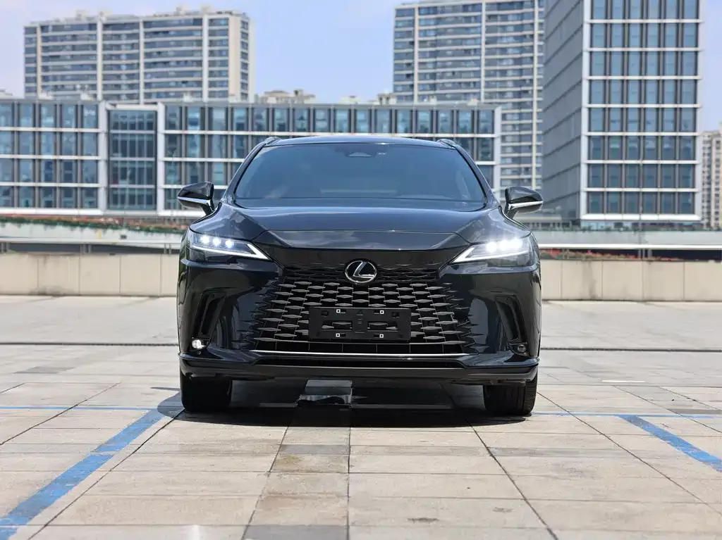 Lexus RX 2023 из CN, фото 10