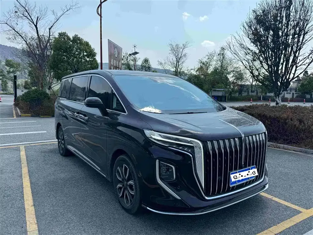 Hongqi HQ9 — фото 10