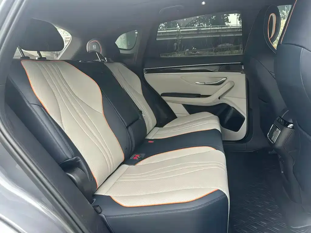 BYD PLUS New Energy 2023 из CN, фото 4