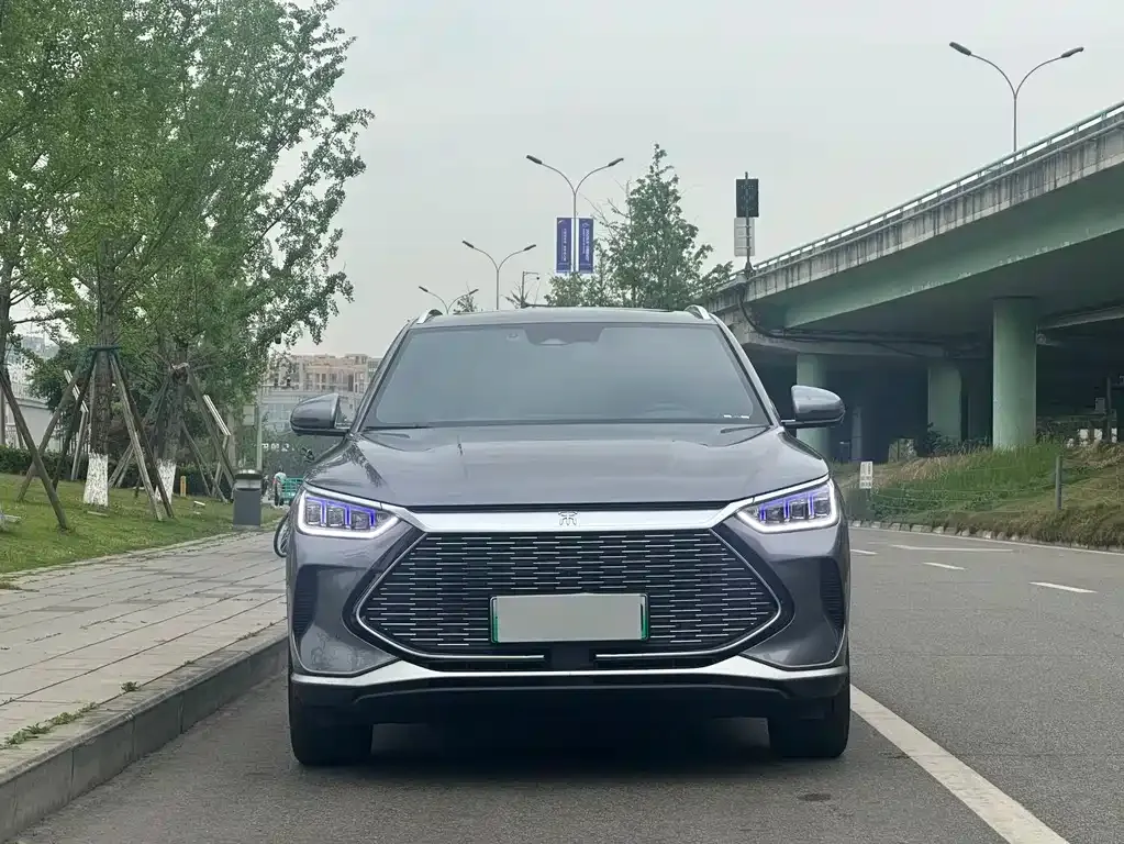 BYD PLUS New Energy 2023 из CN, фото 6
