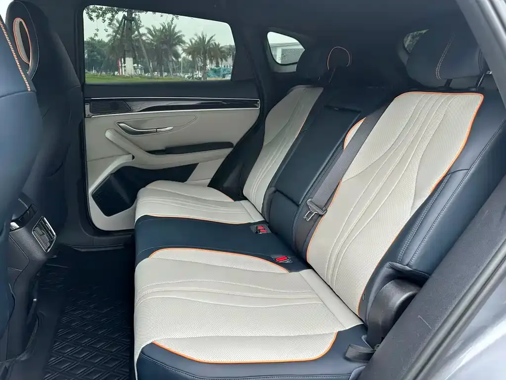 BYD PLUS New Energy 2023 из CN, фото 8