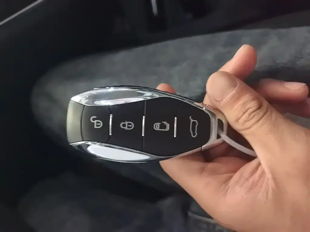 Hongqi HQ9 PHEV 2024 из CN, фото 5