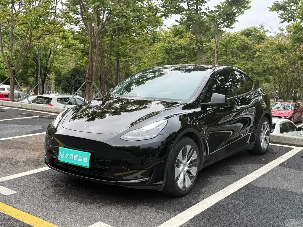 Tesla Model Y — фото 1