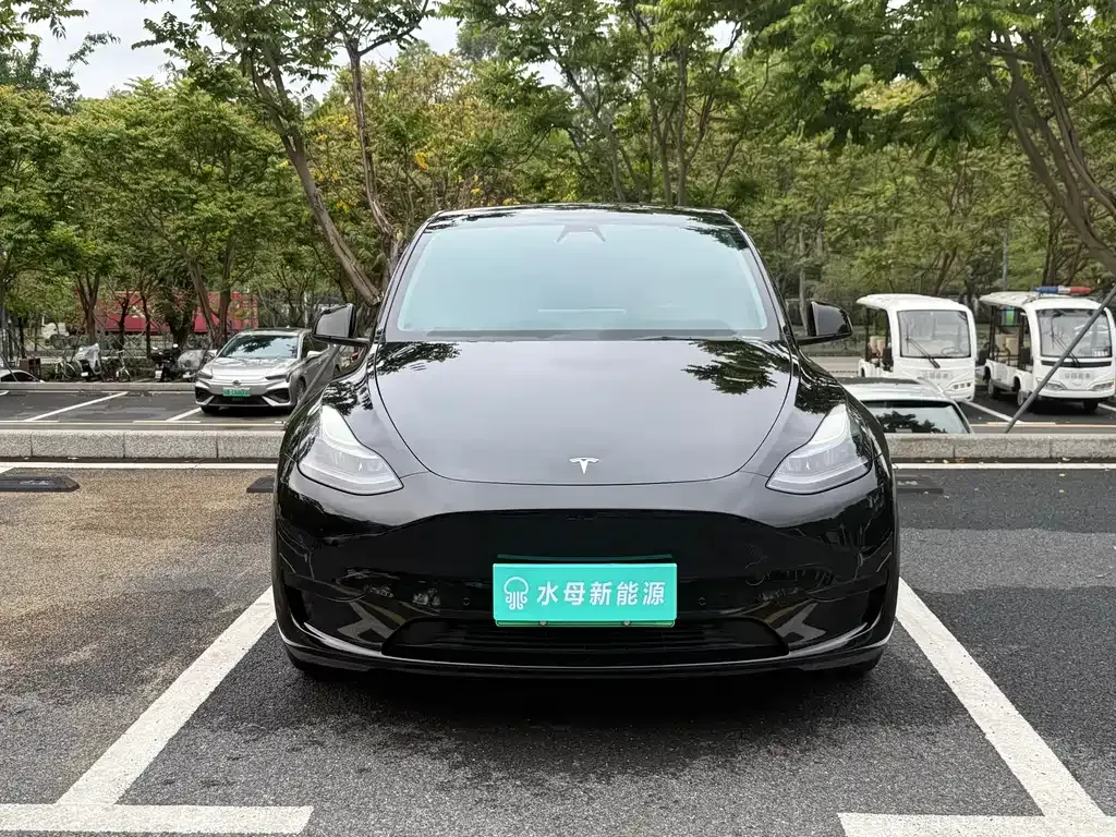Tesla Model Y — фото 3
