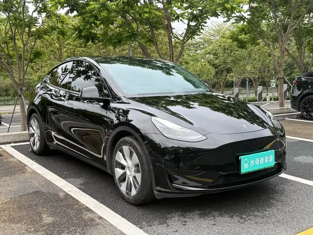 Tesla Model Y — фото 10