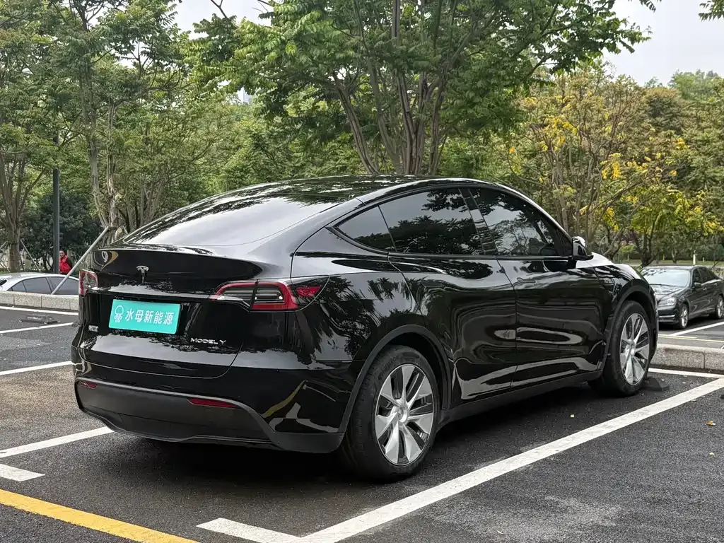 Tesla Model Y — фото 9