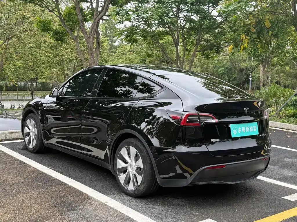 Tesla Model Y — фото 5