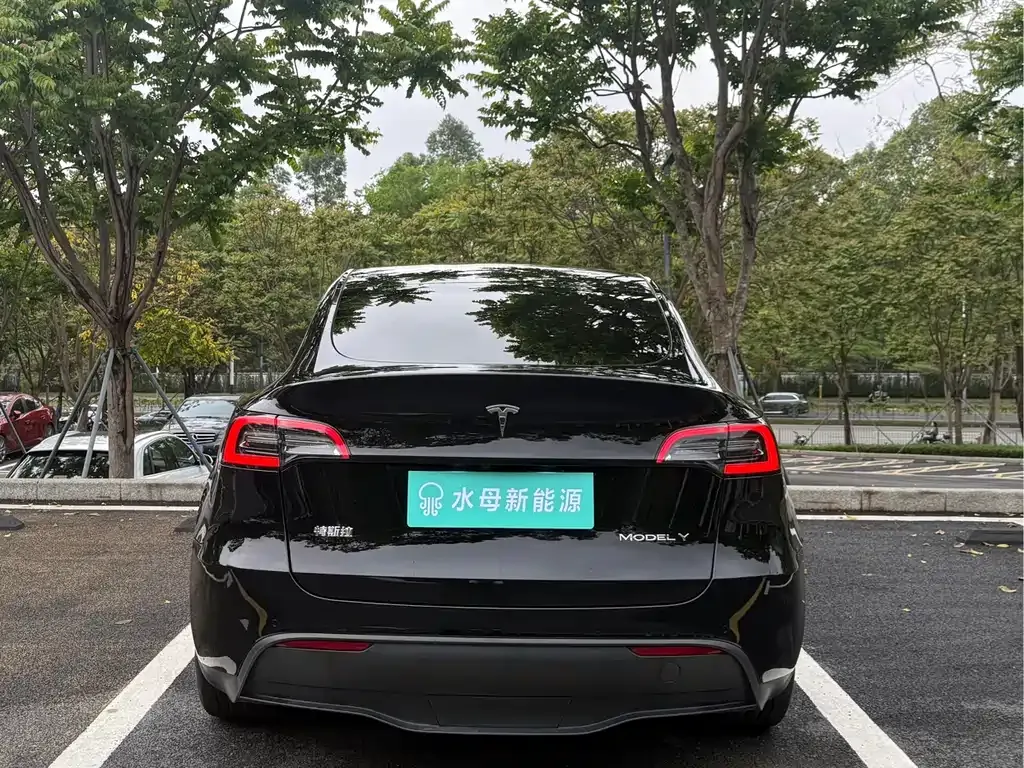 Tesla Model Y — фото 8
