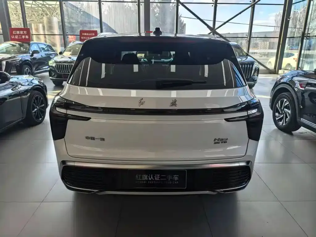 Hongqi HS3 2024 из CN, фото 5