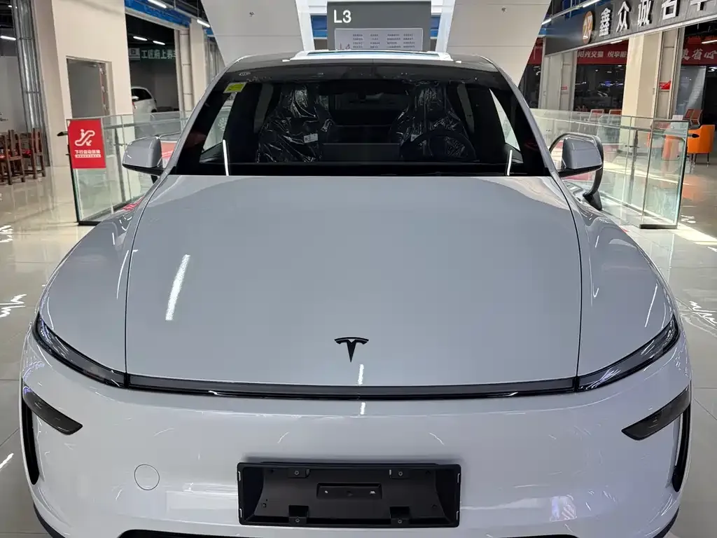 Tesla Model Y — фото 3