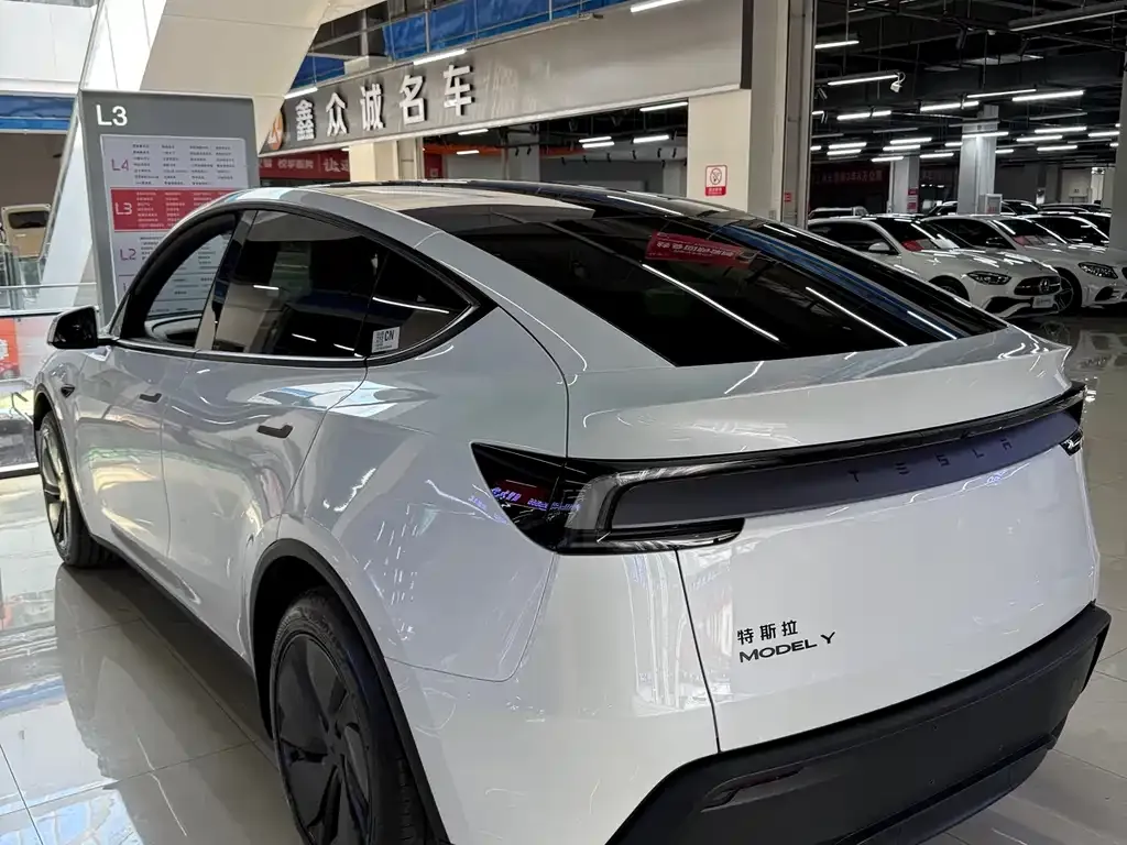 Tesla Model Y — фото 2