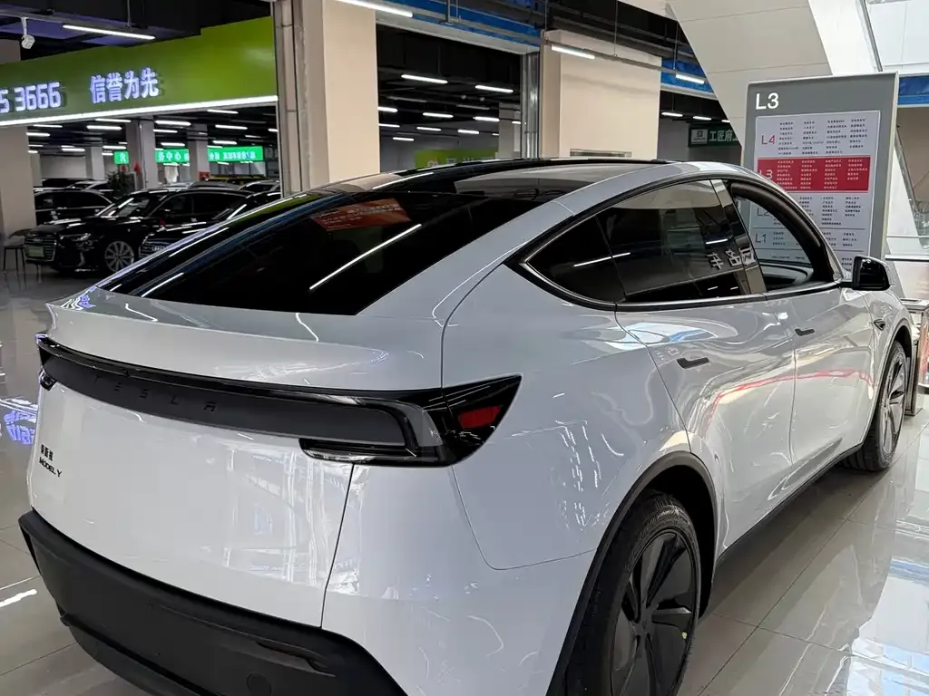 Tesla Model Y — фото 9