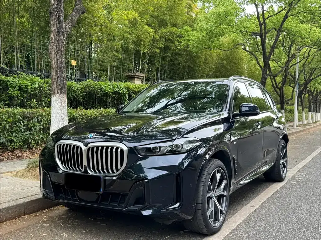 BMW X5 — фото 1
