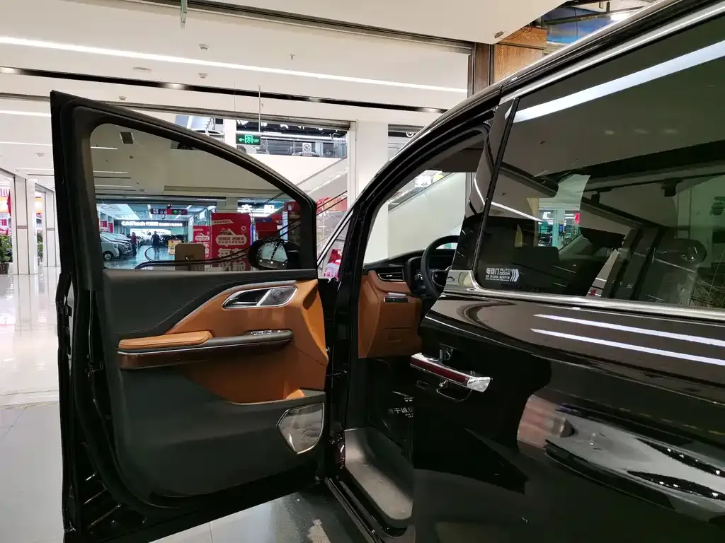 Hongqi HQ9 2023 из CN, фото 8