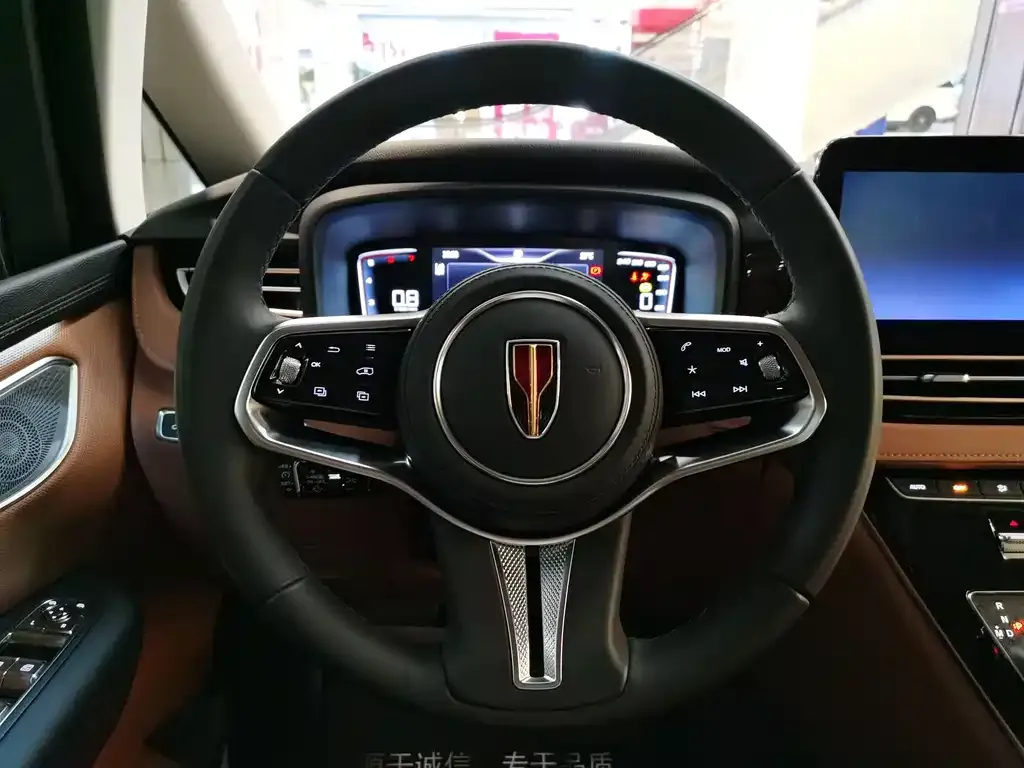 Hongqi HQ9 2023 из CN, фото 10