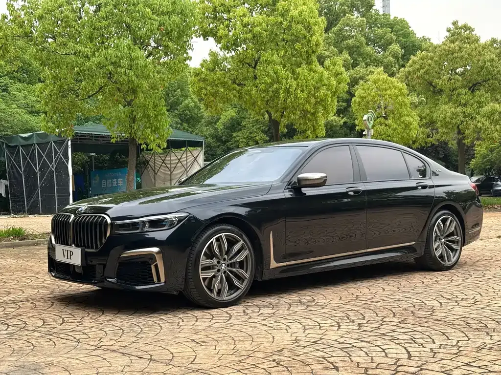 BMW 7 Series 2021 из CN, фото 8