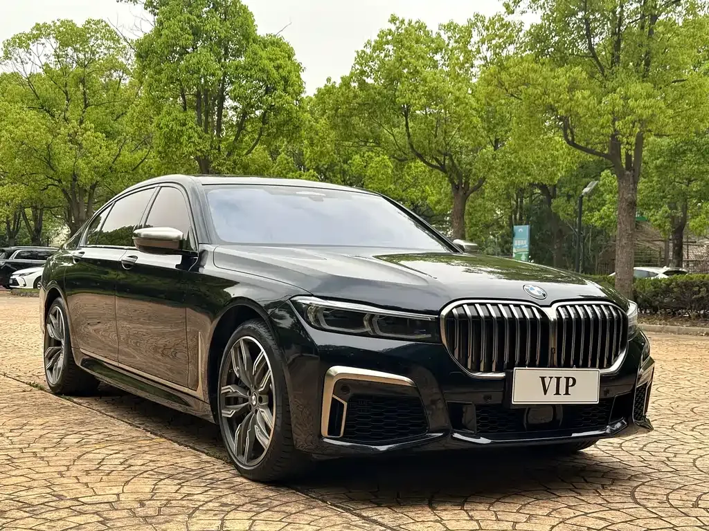 BMW 7 Series 2021 из CN, фото 9