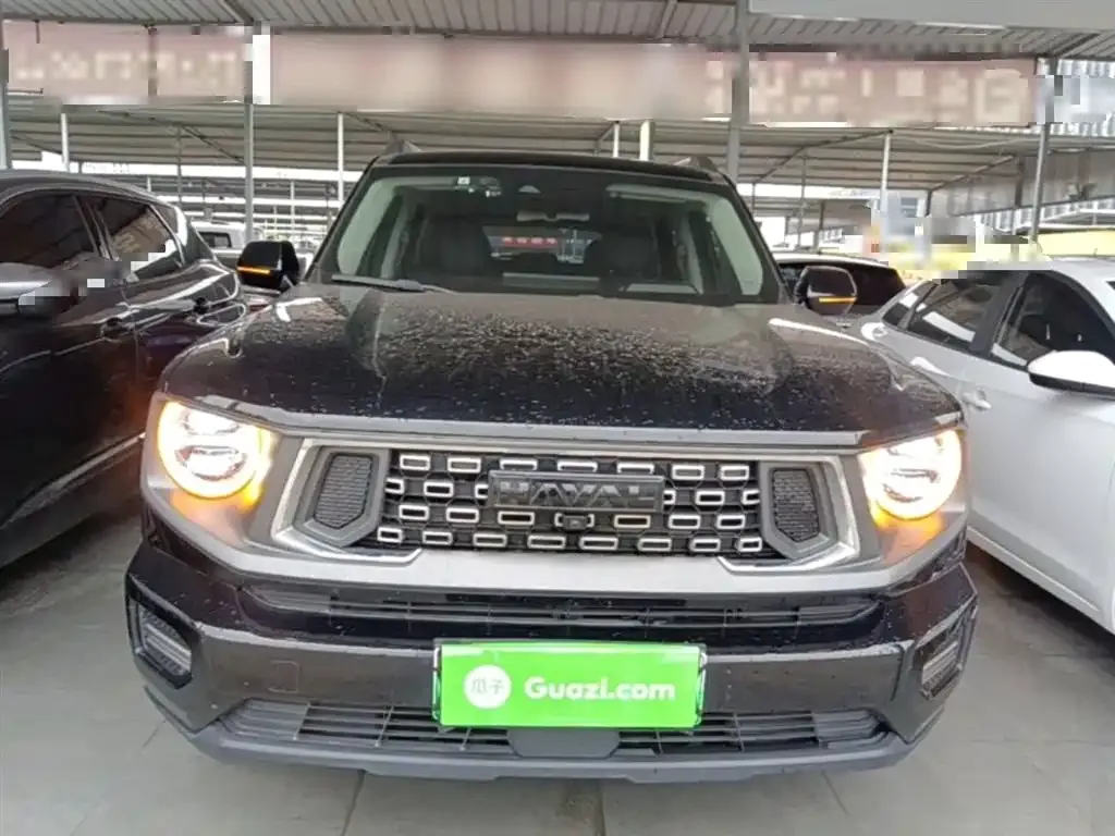 Haval H7 (Big Dog Plus) New Energy 2023 из CN, фото 9