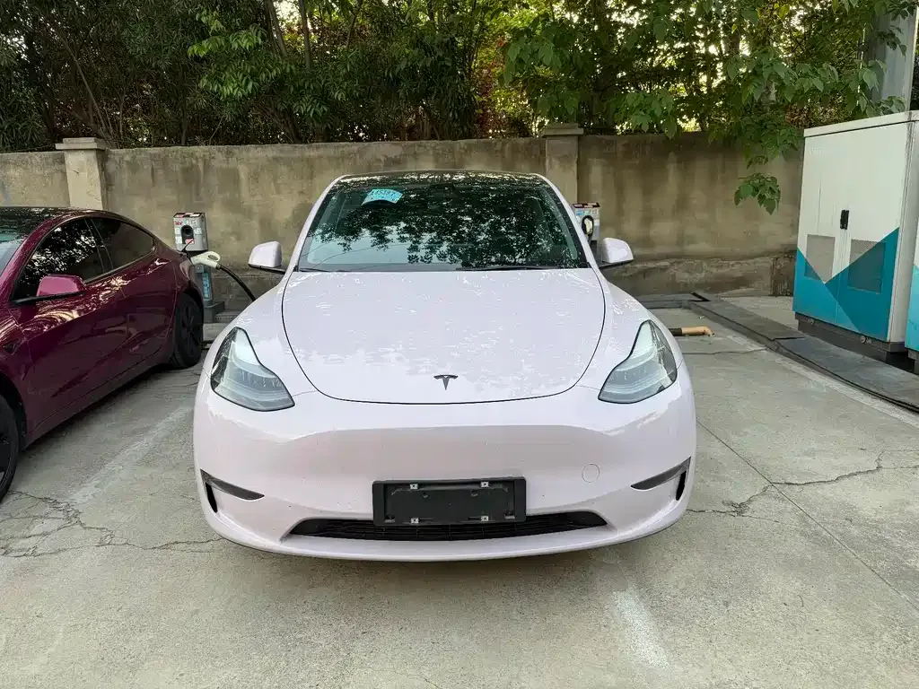 Tesla Model Y — фото 1