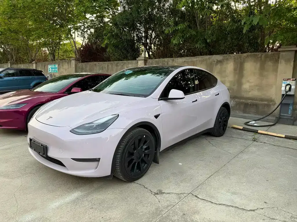 Tesla Model Y — фото 3