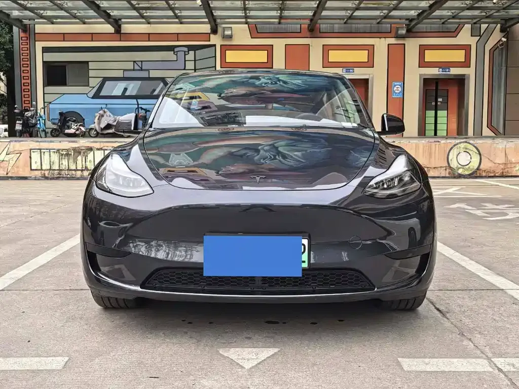 Tesla Model Y — фото 3