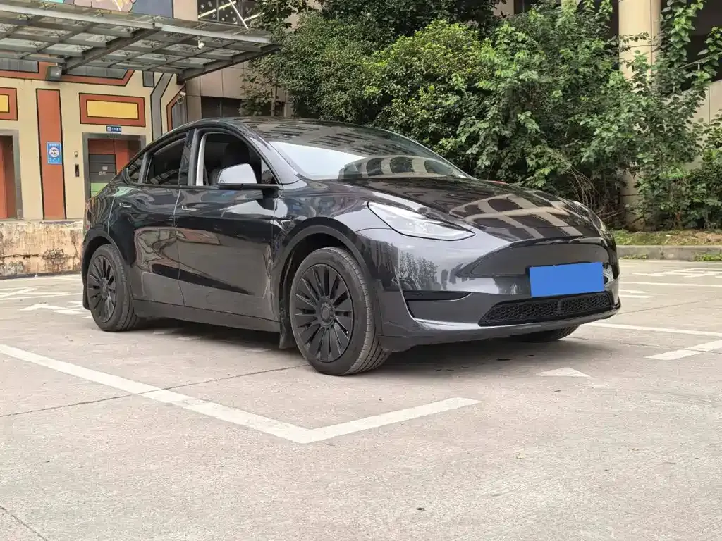 Tesla Model Y — фото 5