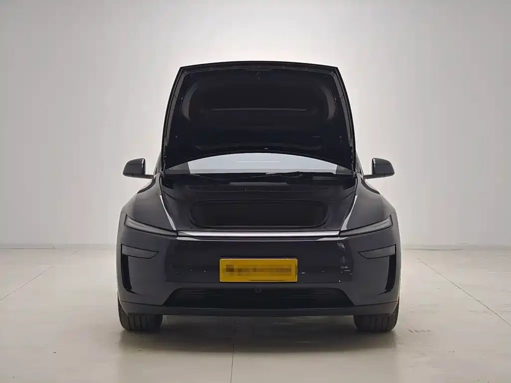 Tesla Model Y 2025 из CN, фото 5