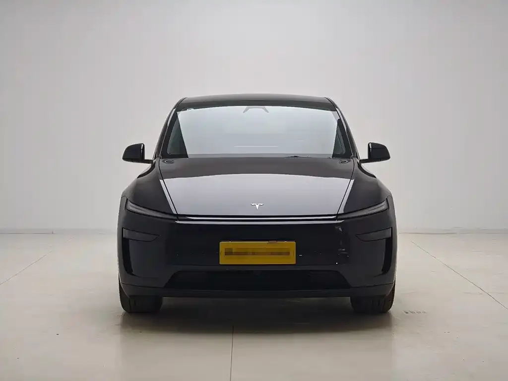 Tesla Model Y 2025 из CN, фото 2