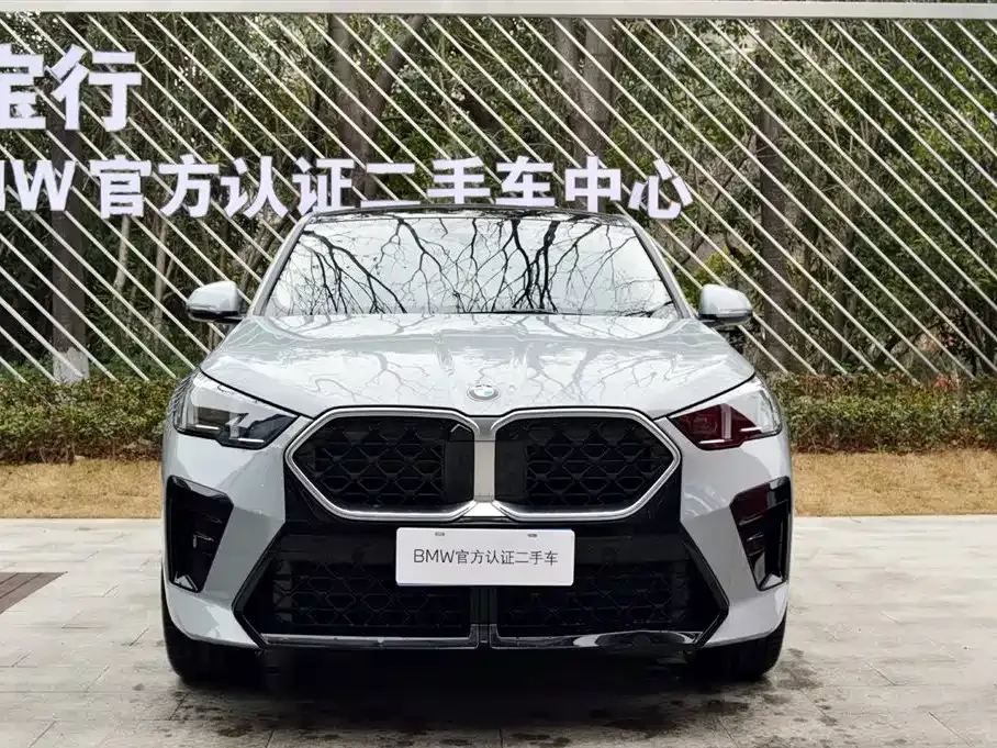 BMW X2 (Import) 2024 из CN, фото 6