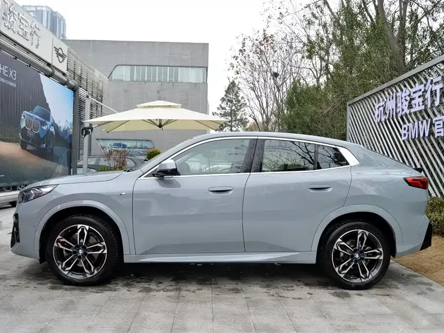 BMW X2 (Import) 2024 из CN, фото 9
