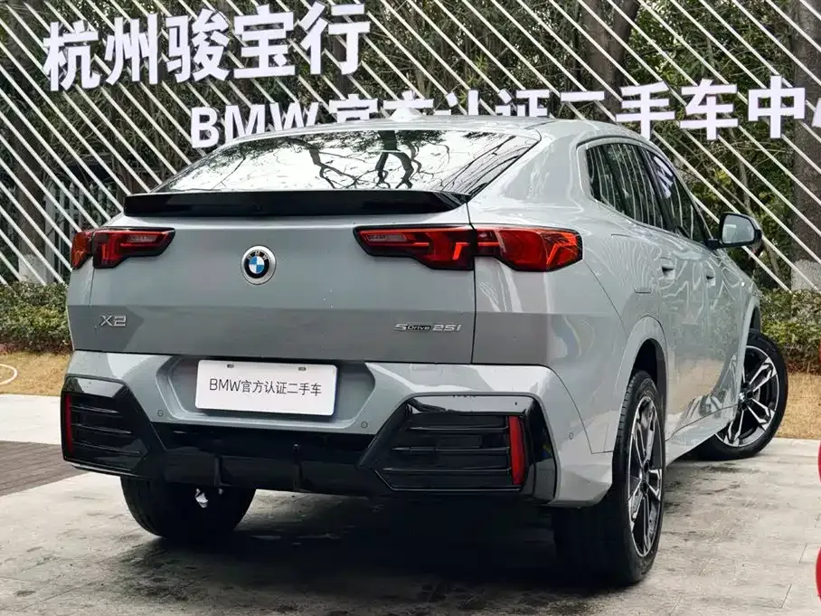 BMW X2 (Import) 2024 из CN, фото 8