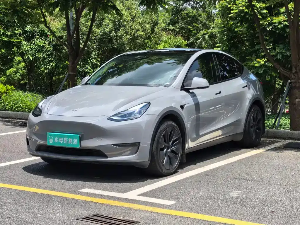 Tesla Model Y — фото 1