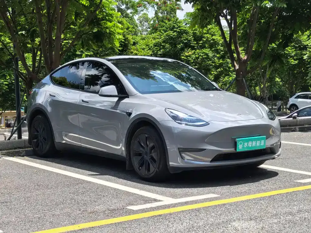 Tesla Model Y — фото 7