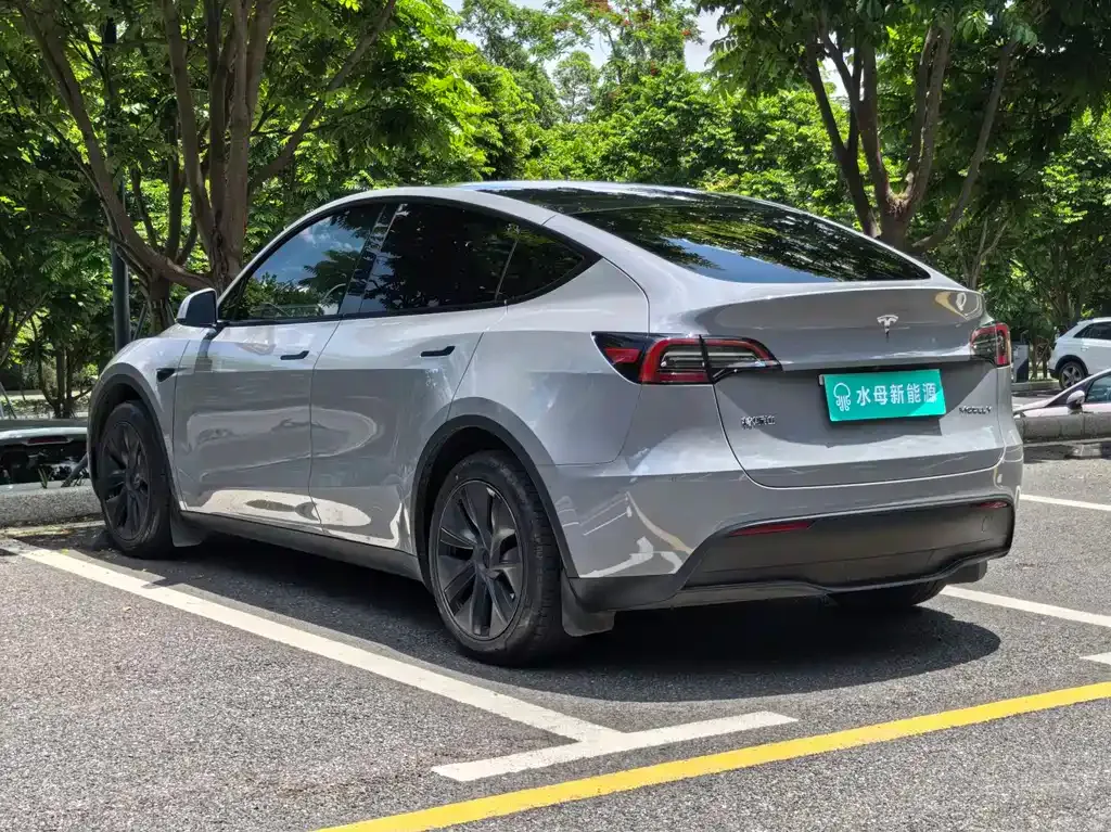 Tesla Model Y — фото 6