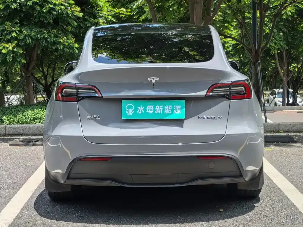 Tesla Model Y — фото 4