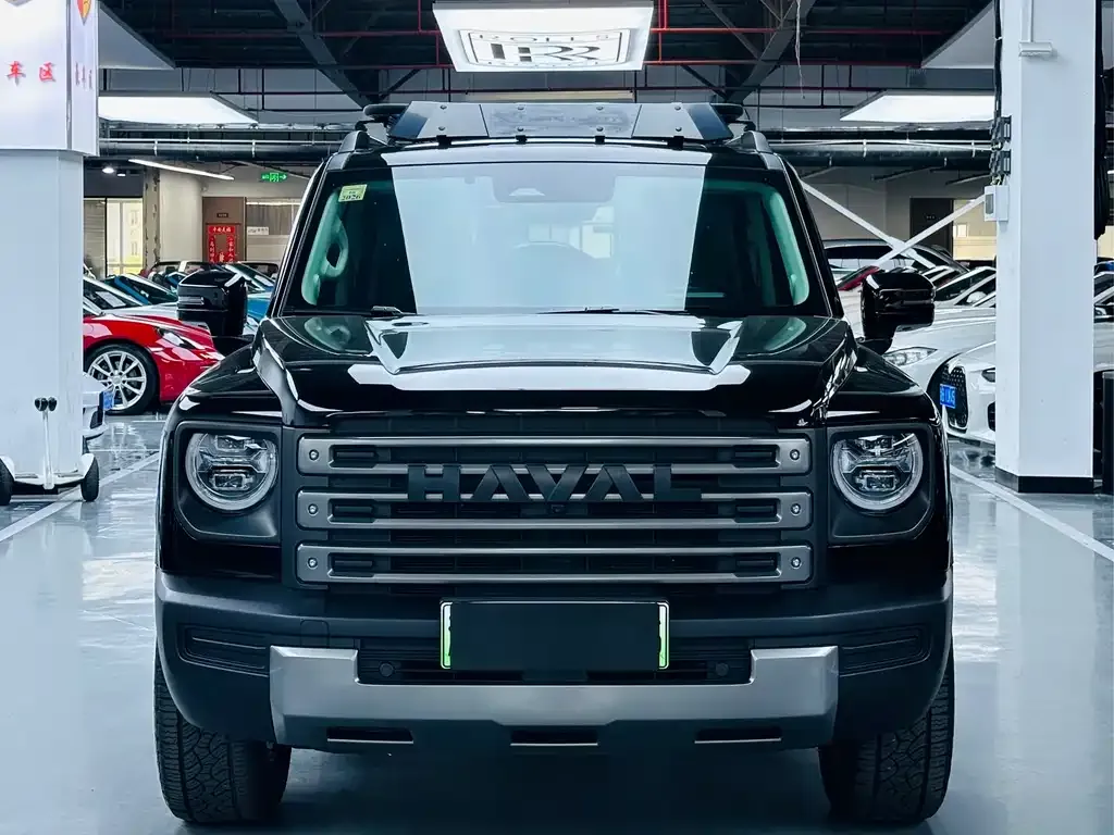 Haval Menglong New Energy 2024 из CN, фото 2