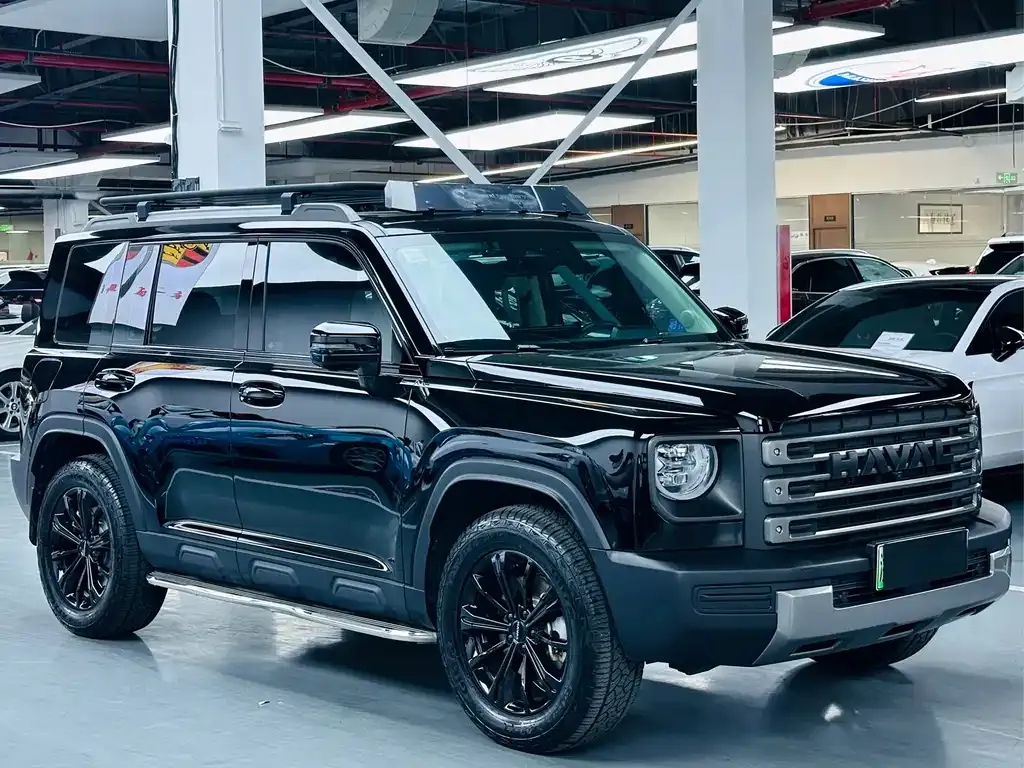 Haval Menglong New Energy 2024 из CN, фото 8