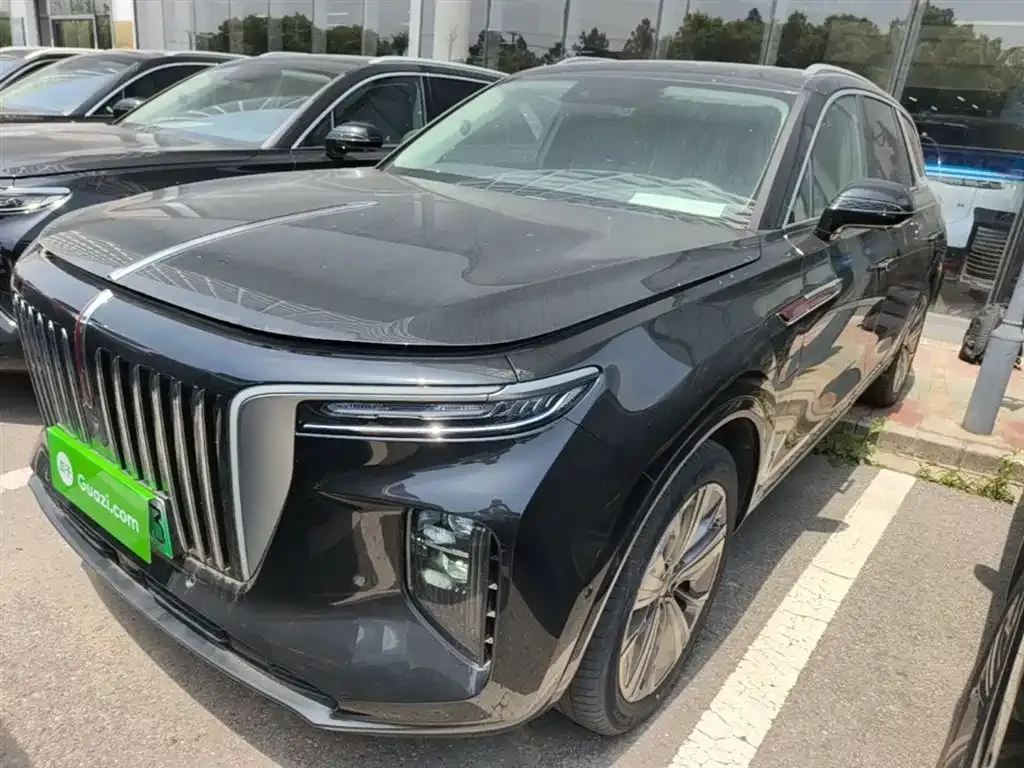 Hongqi E-HS9 2023 из CN, фото 4