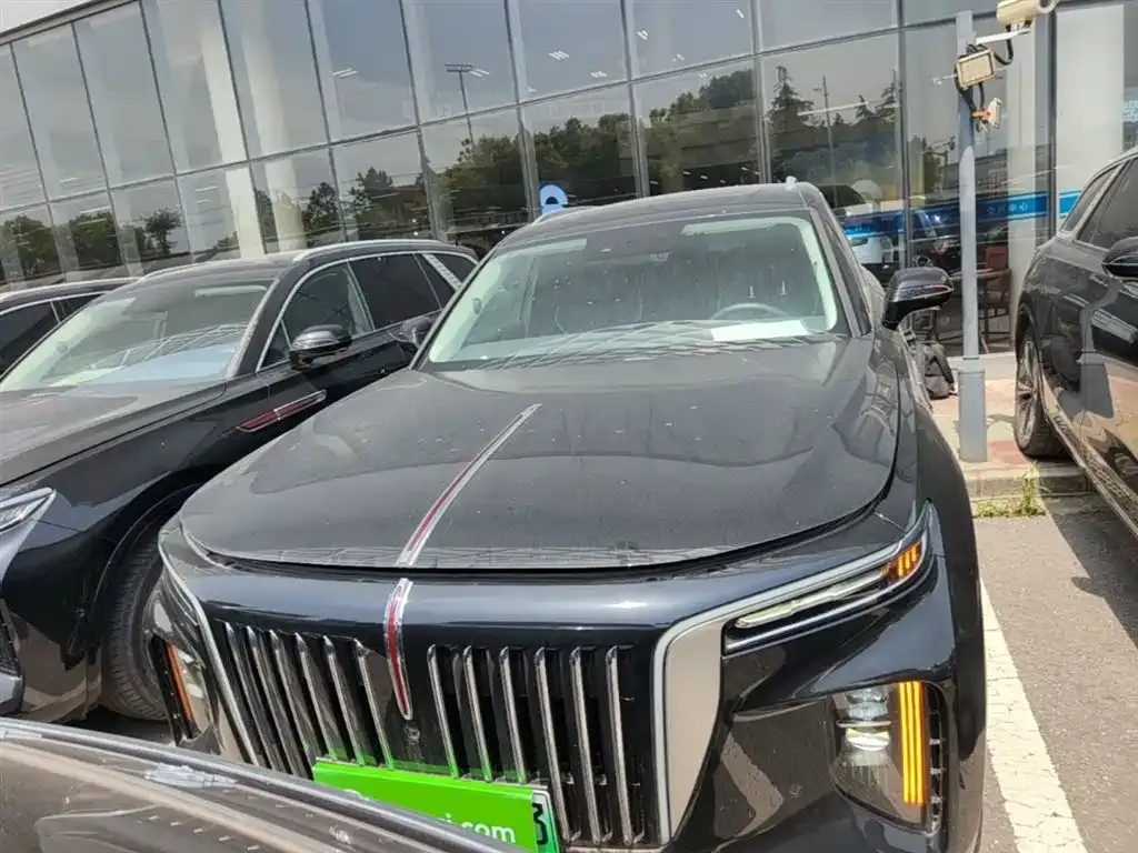 Hongqi E-HS9 2023 из CN, фото 10